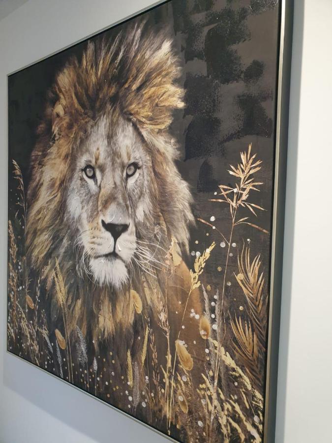 Appartement Le Jungle à Pamiers Extérieur photo